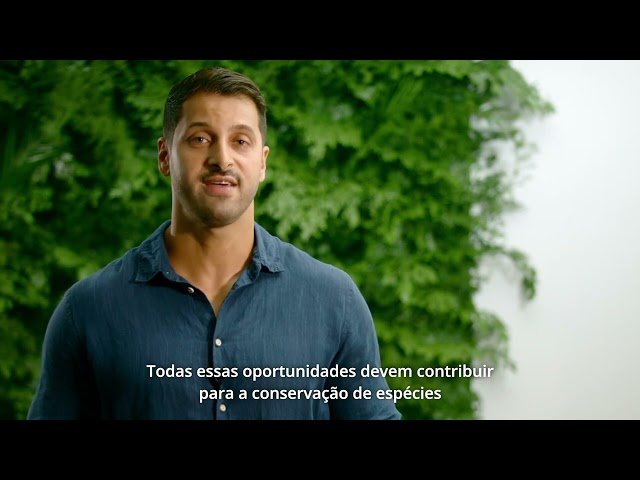 Thumbnail do video do youtube