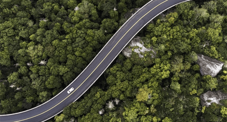 Foto aérea de uma estrada cortando um bosque.