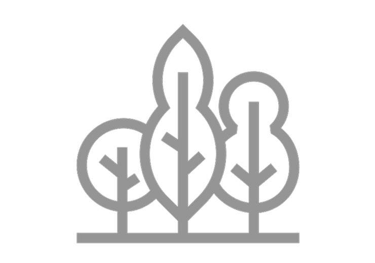 Ilustração simplificada de três árvores lado a lado.