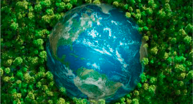Imagem do globo terrestre em montagem com árvores ao redor.