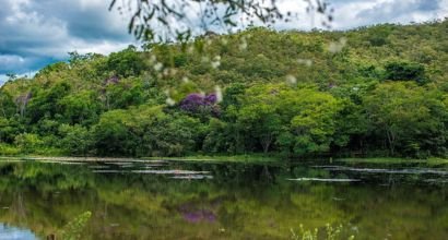 Corredor ecológico em Cachoeiras do Macacu, lago e floresta