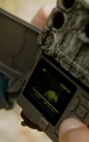 Onça Pintada no Cerrado, projeto Onde a Onça Bebe Água